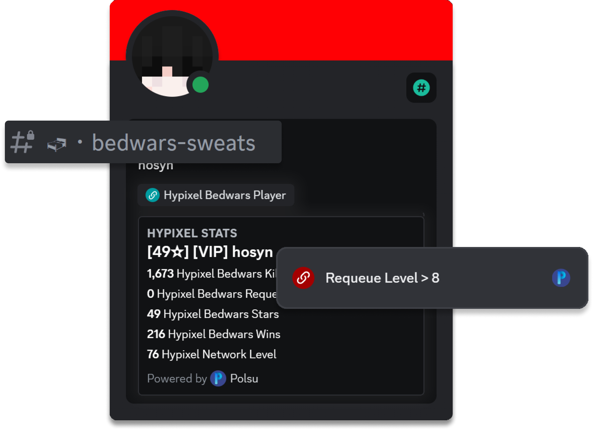 Polsu's stats integration on the discord profile with a secret channel and an example of a linked roles